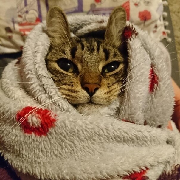   ?)))