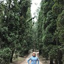 ���� �������, ����� - ��������� 22 ����� 2020 � ������ ���� ����������