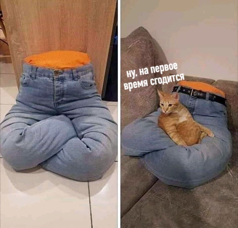  ,     ,    