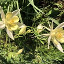 ���� ����, ���������� - ��������� 14 ���� 2020 � ������ ���� ����������