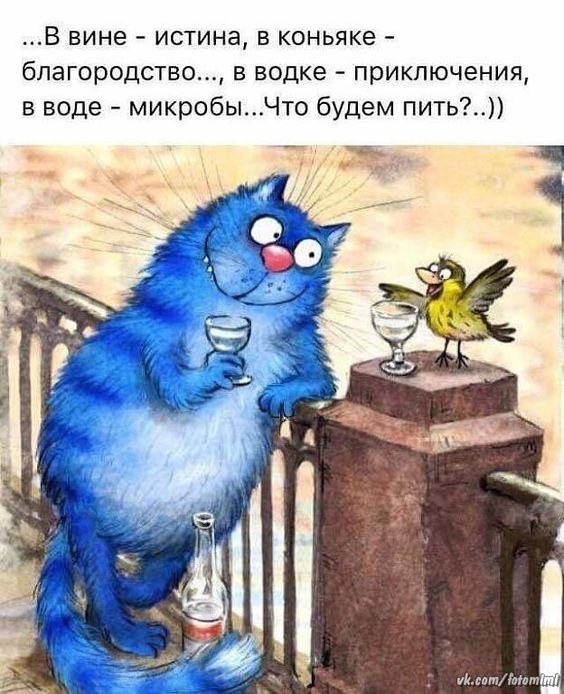  - 5  2020  21:07