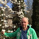 ���� �������, �����������, 64 ���� - ��������� 5 ���� 2020 � ������ ���� ����������