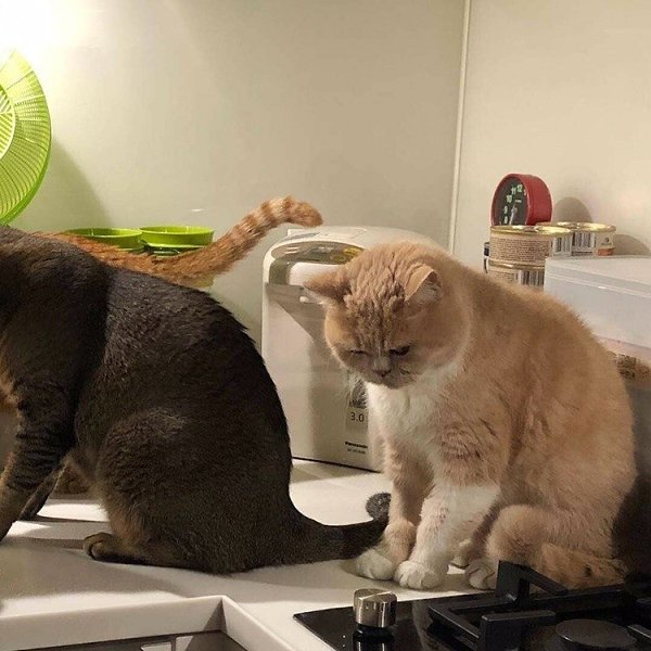 ���������: � � �������� ������ - 2