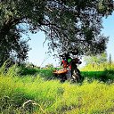 ���� �����, ���������, 44 ���� - ��������� 30 ���� 2020 � ������ ���� ����������