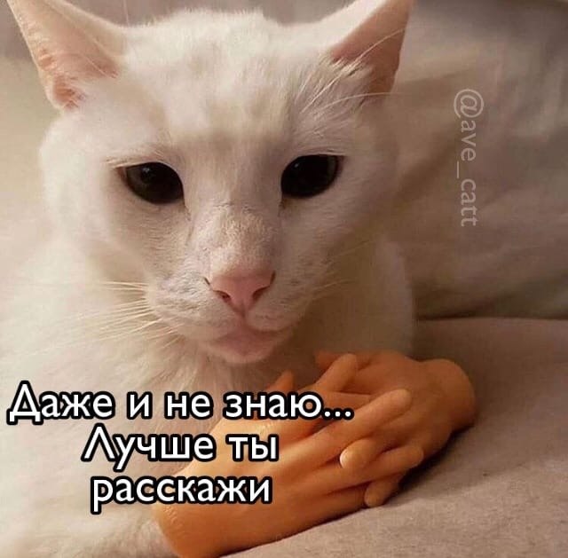       - 3
