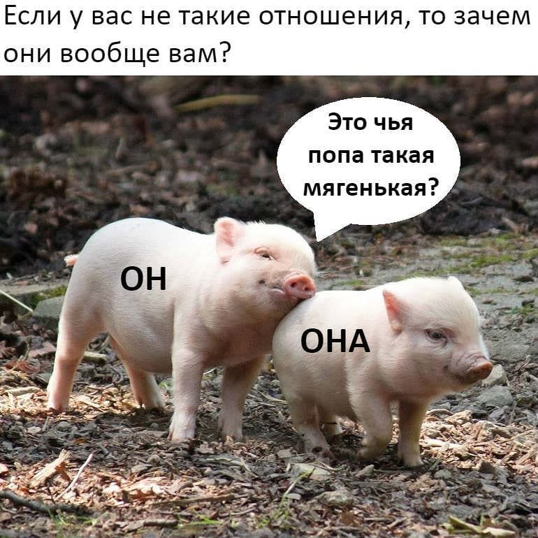 Такие миленькие