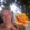 ���� Tolik, ���������, 72 ���� - ��������� 12 ���� 2020 � ������ ���� ����������
