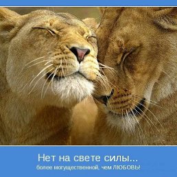 ���� �������, ��������, 55 ��� - ��������� 20 ������ 2020