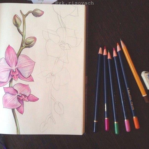 Op���e�. - 3