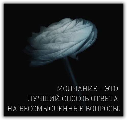 Лучше молчать и показаться дураком, чем заговорить и развеять все сомнения.