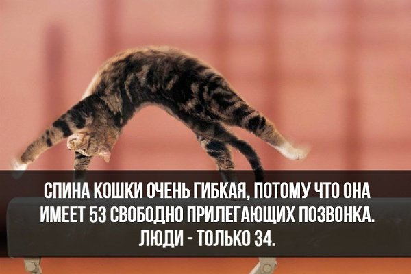 ������� - 16 ������� 2020 � 18:48