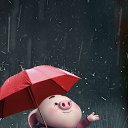 ���� ����, �����-���������, 55 ��� - ��������� 8 ����� 2020 � ������ �Cute Pig�