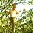 ���� Saha, �������������, 38 ��� - ��������� 16 ������ 2020