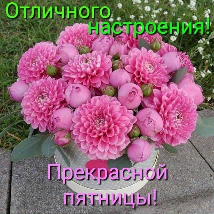   ,    . - 31  2020  13:58