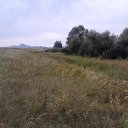 ���� ������, ����, 51 ��� - ��������� 15 ������ 2020 � ������ �������