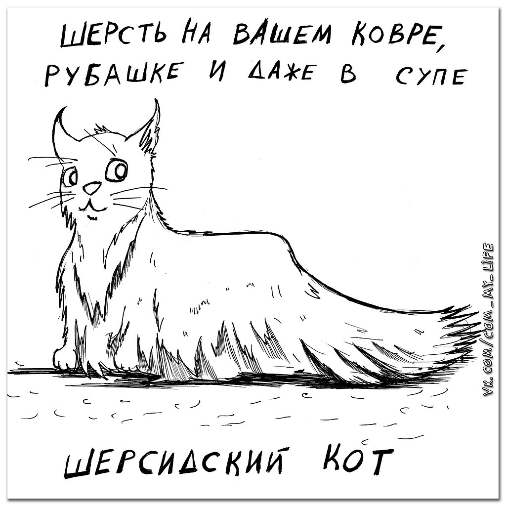 Oeee o     - 5