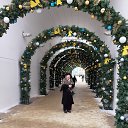 ���� ��������, ������ �������� - ��������� 3 ������� 2020 � ������ ���� ����������