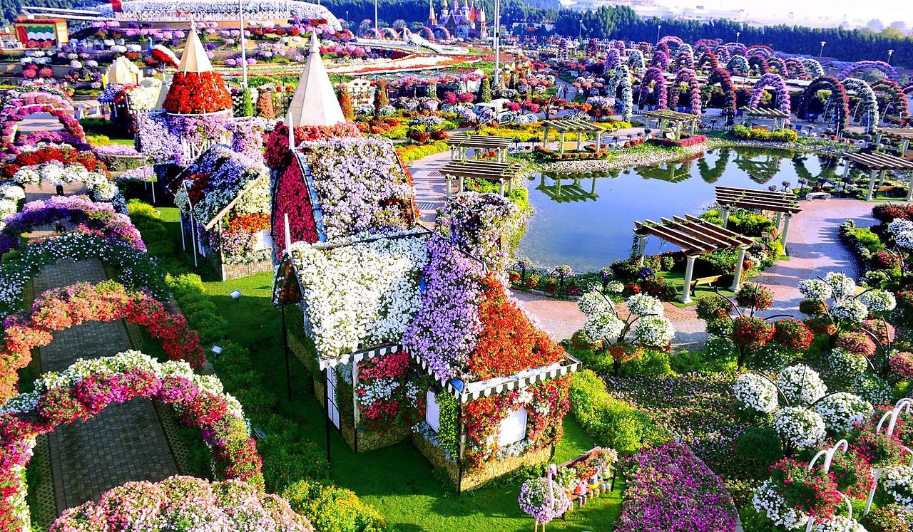   Dubai Miracle Garden - 2