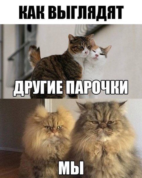    - 29  2020  18:45