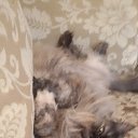 ���� ������, ������ - ��������� 6 ������ 2020 � ������ ���� ����������