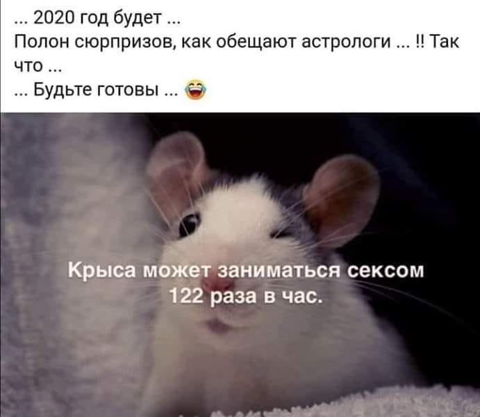 ������ - 9 ������ 2020 � 10:39