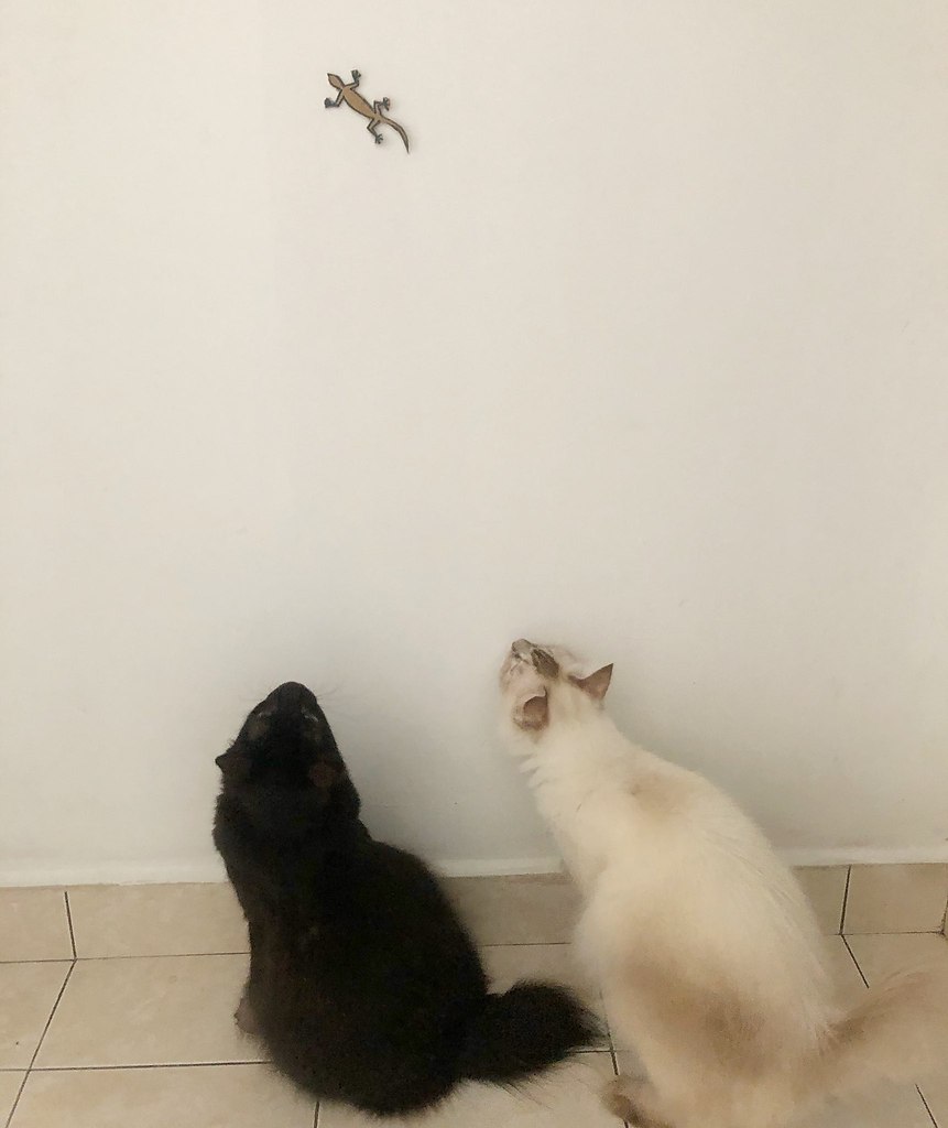      : - 3