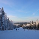  , , 54  -  3  2020    