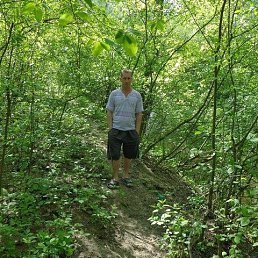 �������, ���������, 42 ����