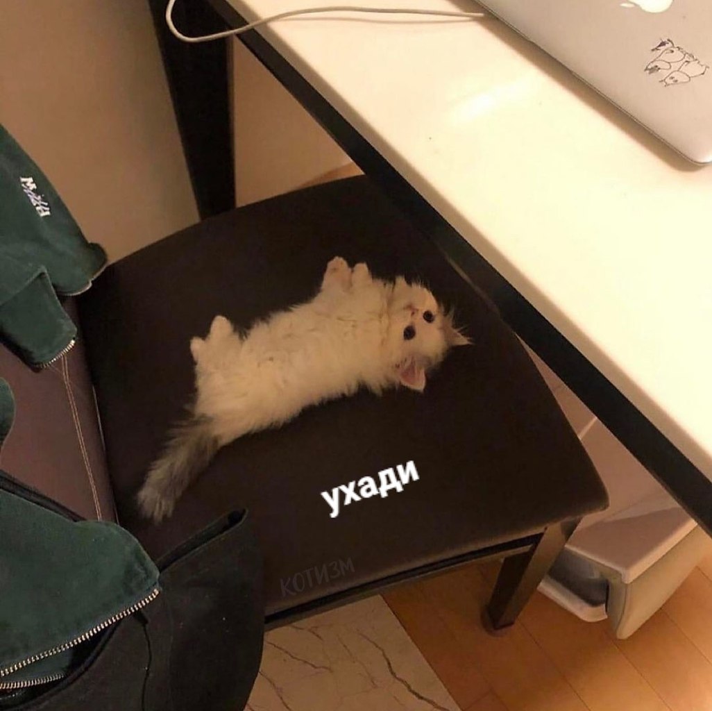   ! - 2