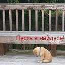 ���� ���������, �������� - ��������� 23 ������ 2020 � ������ ���� ����������