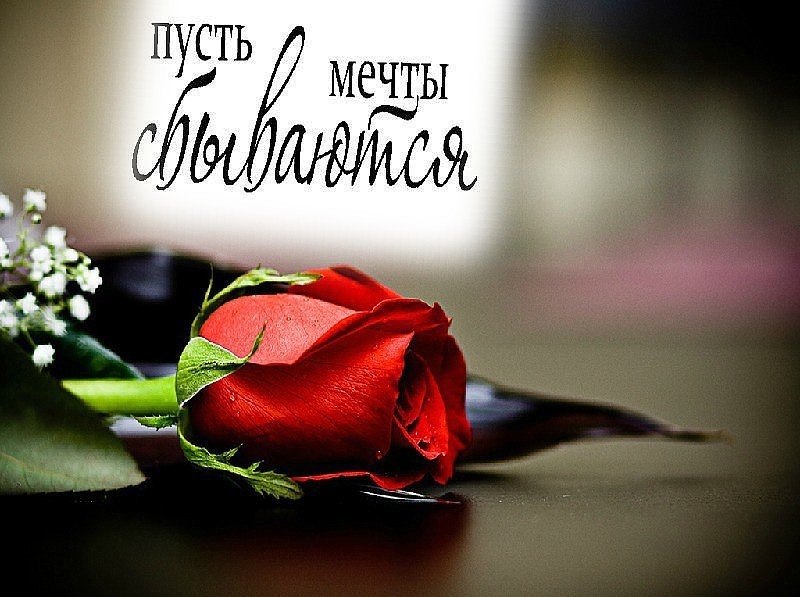 Не бывает случайных падений….Есть уроки, что нужно пройти…Отряхни, не стесняясь, колениИ уверено ...
