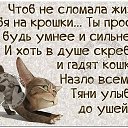 ���� ����, ������ �������� - ��������� 5 ���� 2020 � ������ ������ ��������
