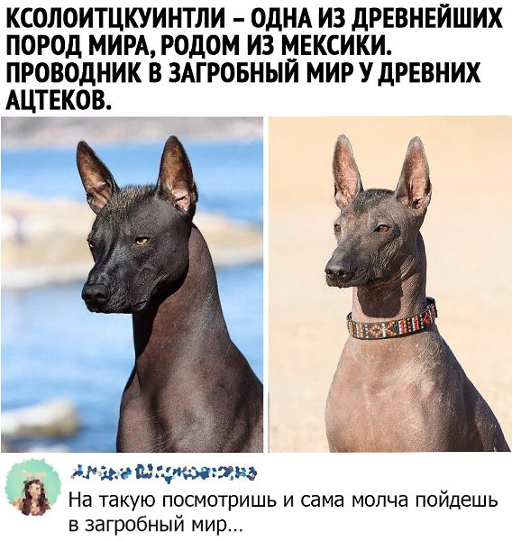    ר! - 25  2020  14:55