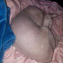  , -, 45  -  24  2020    