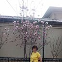 ���� �������, �������, 50 ��� - ��������� 17 ����� 2020 � ������ ���� ����������