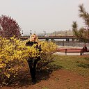 ���� ��������, ������ - ��������� 17 ������ 2020 � ������ ���� ����������