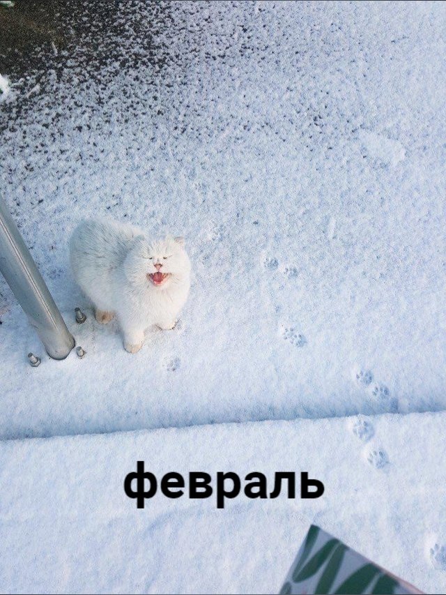 ,  ,   - 4