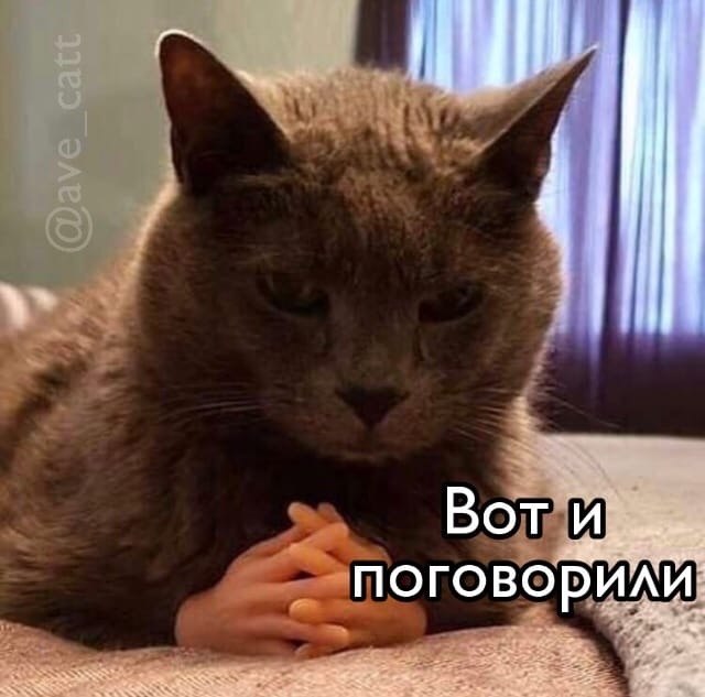       - 6