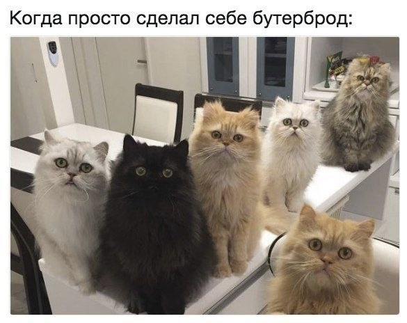 ������� - 5 ����� 2020 � 18:49