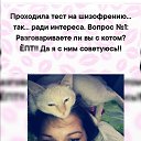 ���� ���������, ���������, 41 ��� - ��������� 29 ���� 2020 � ������ ���� ����������