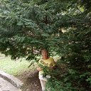 ���� �����, ������ - ��������� 23 ����� 2020 � ������ ���� ����������