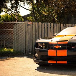 �����, ������, 41 ���