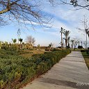 ���� �������, ����� - ��������� 7 ������� 2020 � ������ �������-��������