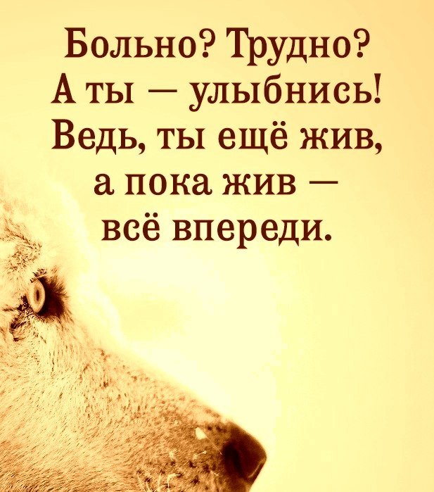    -  !