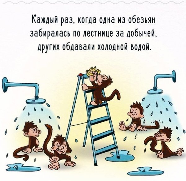 Эксперимент с обезьянами, бананами и ледяной водой. Точно неизвестно, проводился ли он, однако, в ... - 2