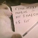 ���� ����, �����-���������, 44 ���� - ��������� 11 ������� 2020 � ������ �����