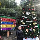 ���� ����, ���������, 58 ��� - ��������� 11 ������ 2020 � ������ ����, ���� ������ 2020�