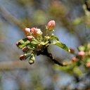 ���� ������, �������������-���������� - ��������� 11 ���� 2020 � ������ ����� ��� � ��� ���� ������...�