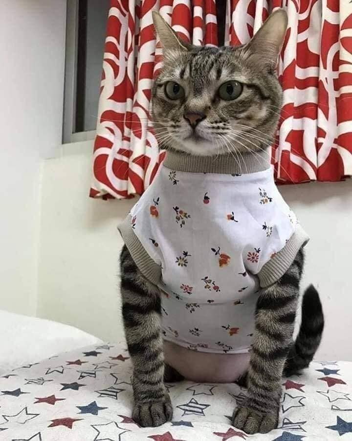       :