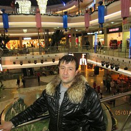 �����, ������ ��������, 40 ���